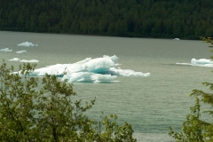 AK 02410 Ice Burgs